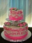 WEDDING CAKE 361